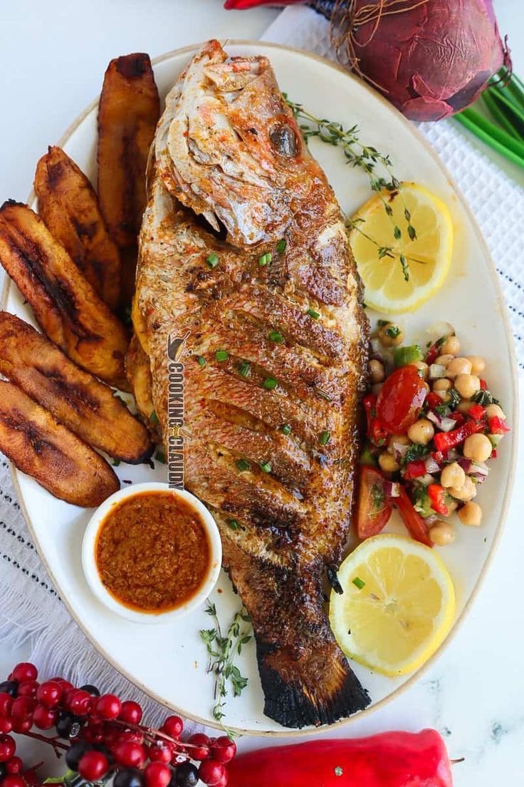 African Red Snapper