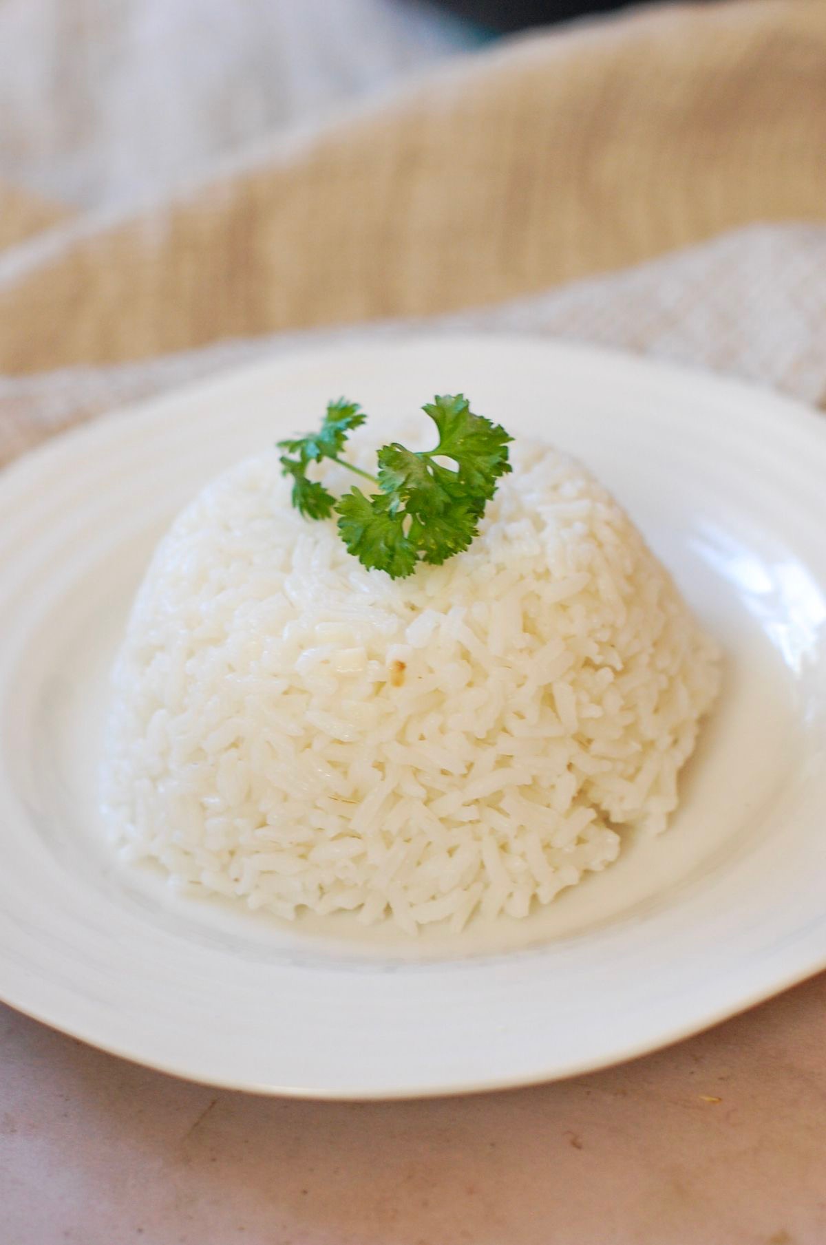Steamed White Rice